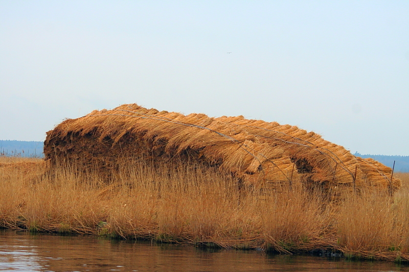 Bodden Gewsser Boddenlandschaften